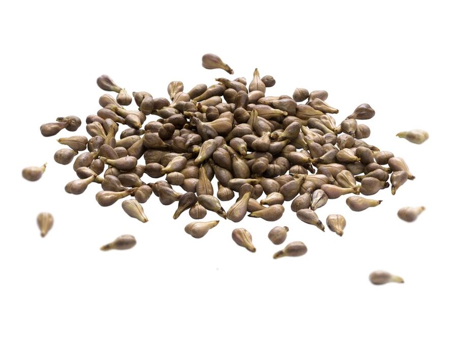 Varicone kremak mahats-hazi olioa dauka