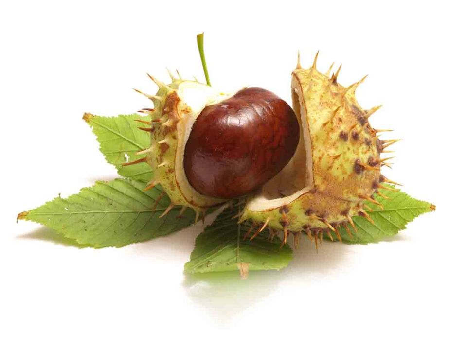 Varicone kremak zaldi gaztaina extract dauka